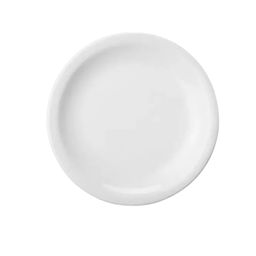 [00175-028073] PLATO LLANO 28cm PORCELANA PROTEL