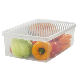 [OR48013] ORGANIZADOR PLÁSTICO 10,3 L